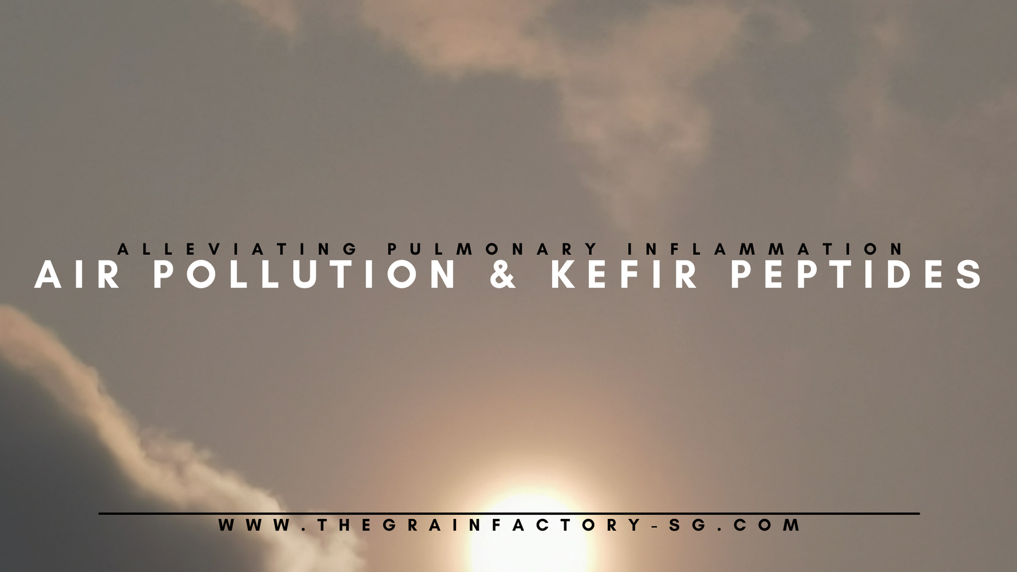 Air Pollution and Kefir Peptides