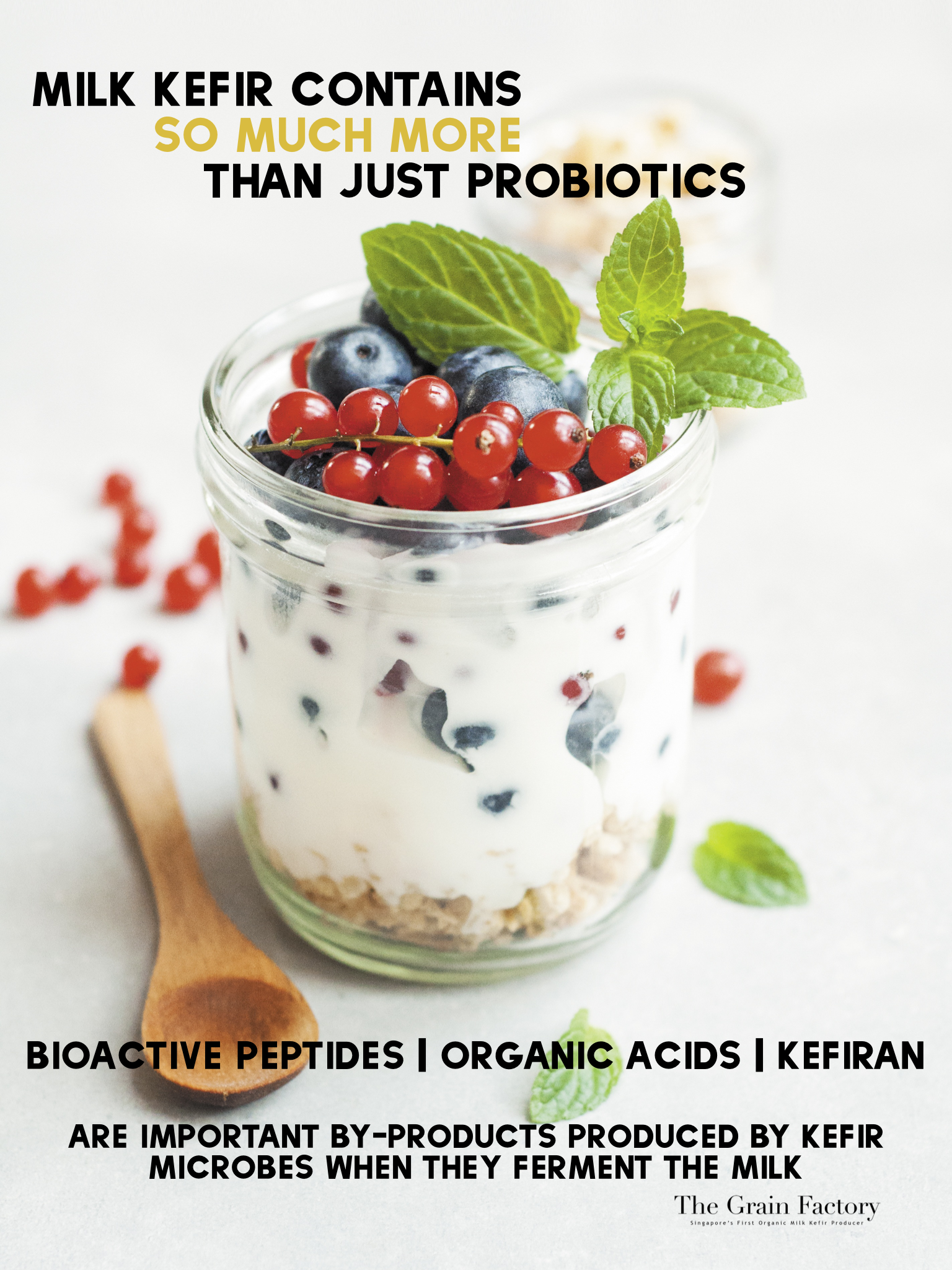 Our Artisanal Milk Kefir - Not just a regular probiotic drink