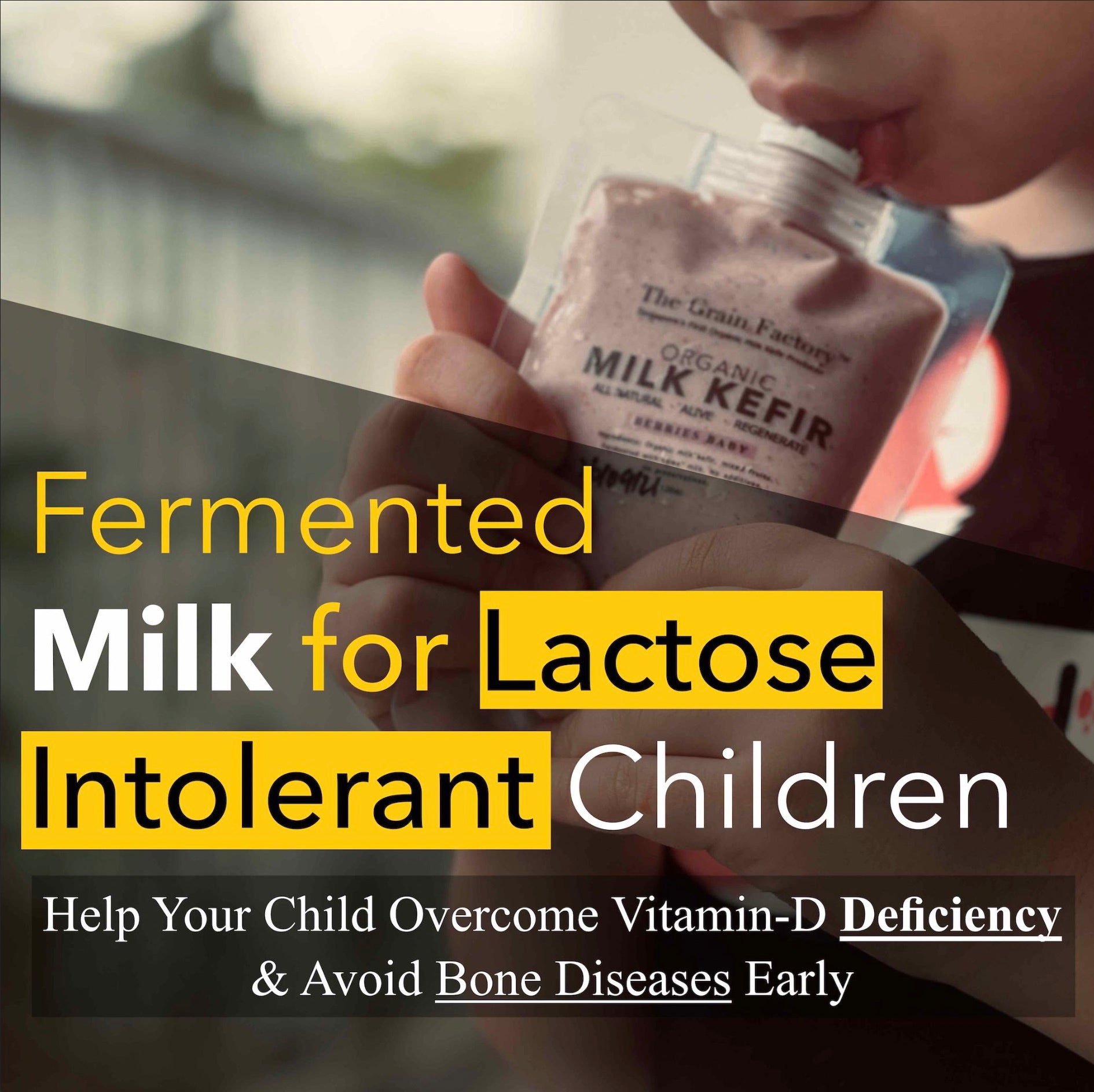 Milk Kefir Fermented Milk for Lactose Intolerant Children Probiotics